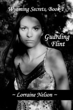 Guarding Flint